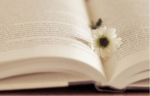 拥抱出版知识，开启个人出版新纪元 河北中盈文化传媒助力文化传播