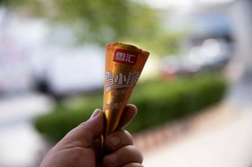 诗与田野携手雪汇，河北文化传播新篇章